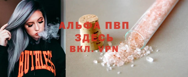 сатива Бронницы