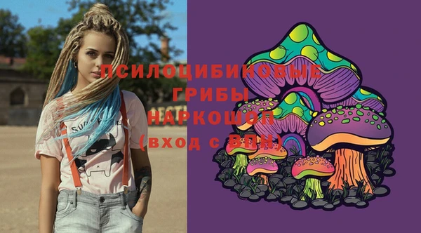 дживик Бугульма