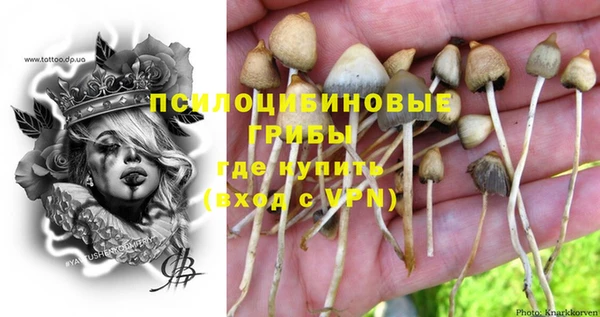 дживик Бугульма