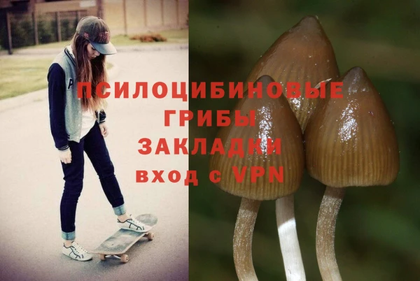 PSILOCYBIN Бронницы