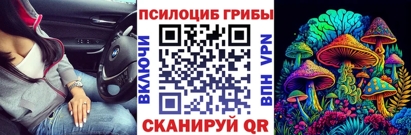 Галлюциногенные грибы Magic Shrooms  как найти закладки  omg как зайти  Городовиковск 